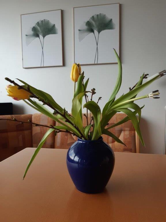 Ferienzentrum Bodensee Oberteuringen エクステリア 写真