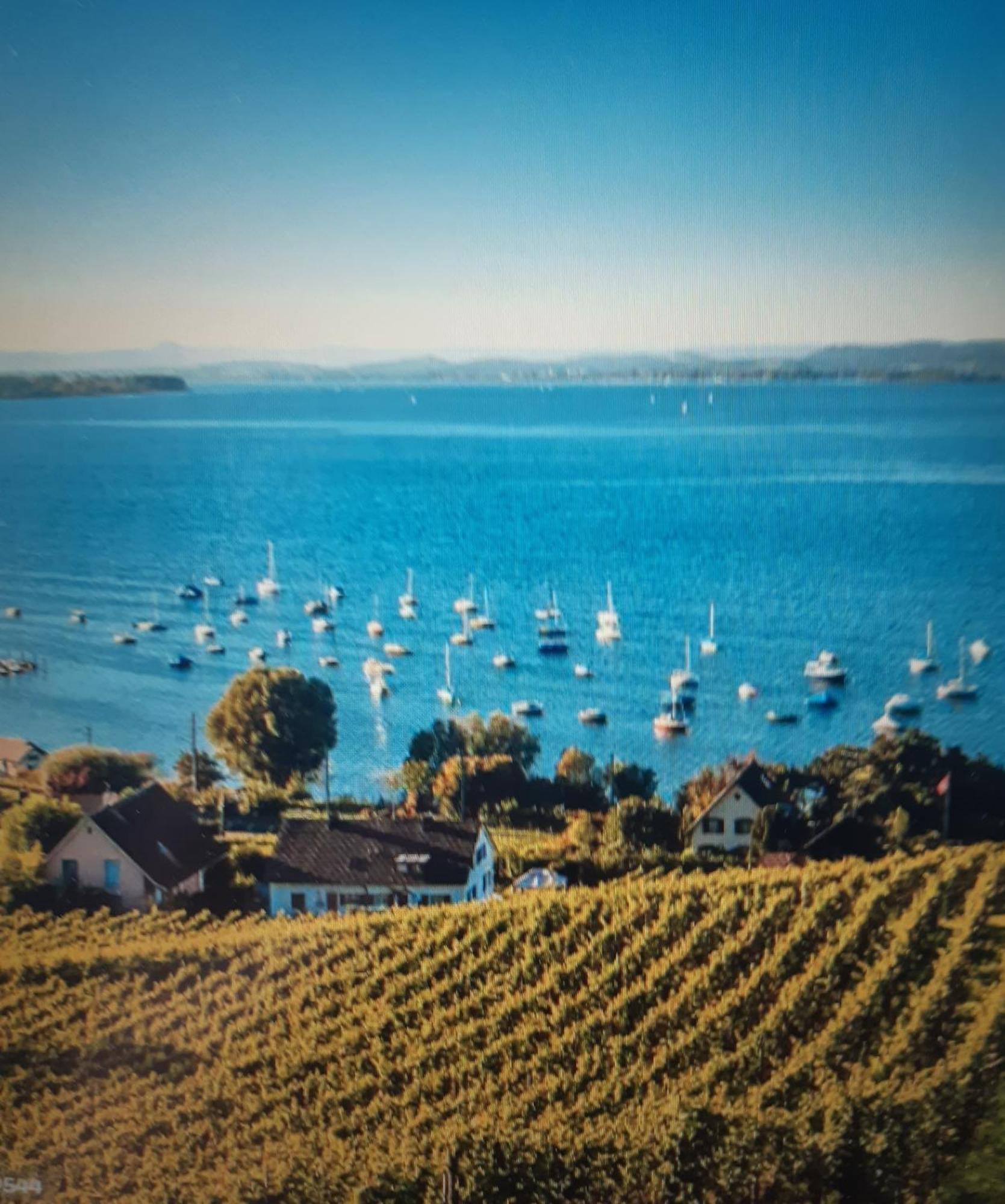 Ferienzentrum Bodensee Oberteuringen エクステリア 写真